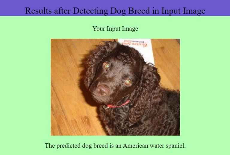 predict the breed 2
