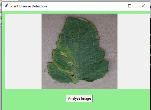 leaf result 2