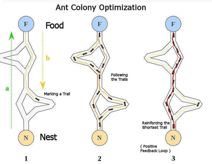 Ant colony optimization